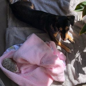 Meet your Posher, Victoria